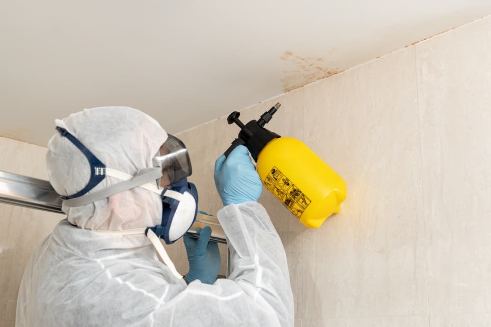 13 Steps We Follow When Removing Mold