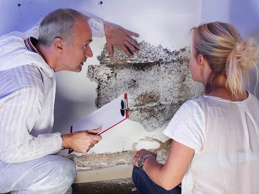 5 Notable Benefits of Professional Mold Inspection