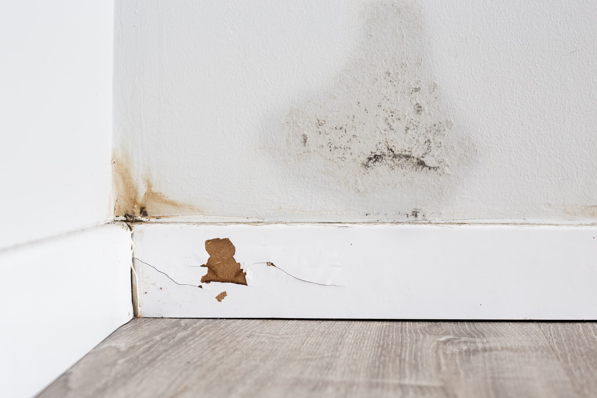 6 Signs of Water Damage at Home and How to Address Them