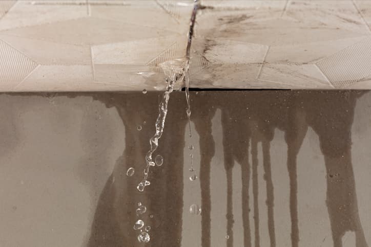 A Beginner’s Guide to Drying Your Home after Water Damage