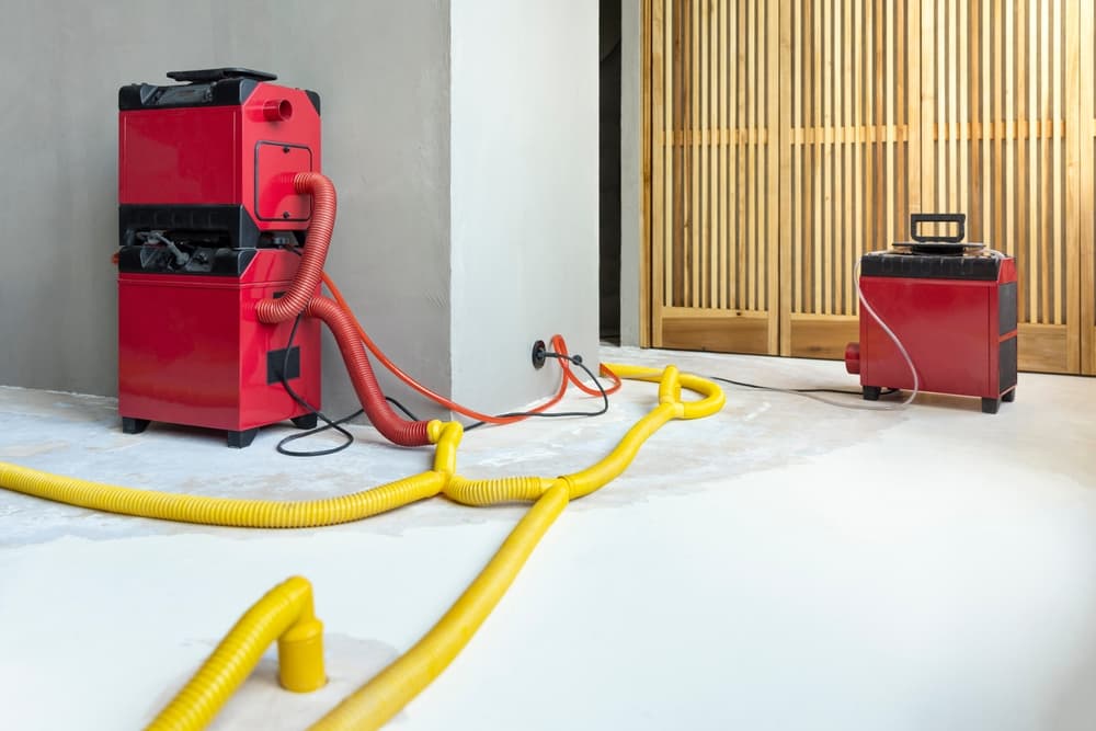 Drying or Cleaning First