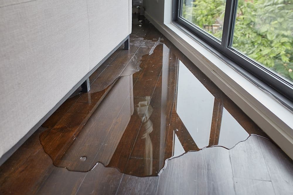 Five Ways To Save Your Hardwood Floors From Water Damage