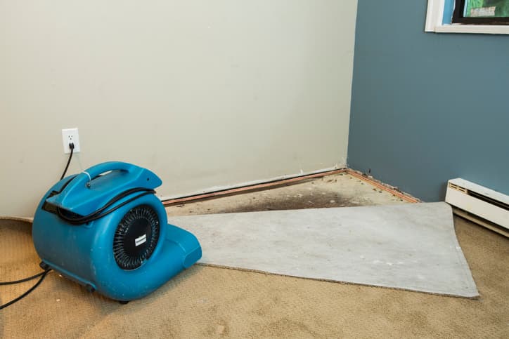 Health Issues Caused by Mold Growth