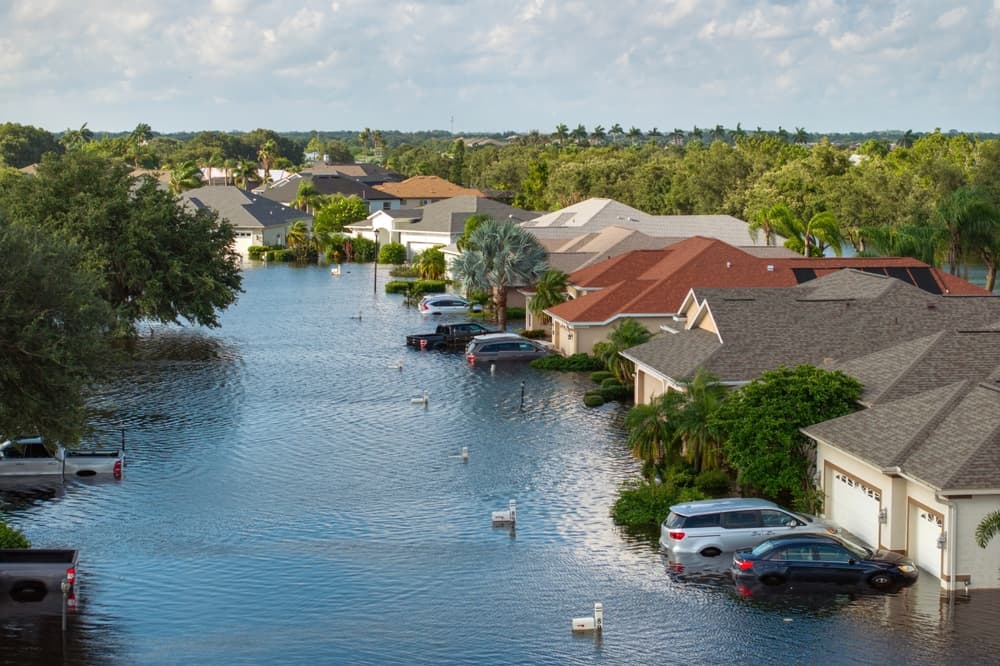 Hiring Professional Water Removal Specialists for Flooding