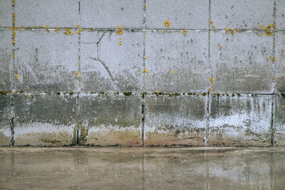 How Structural Drying Can Help Eliminate Water Damage