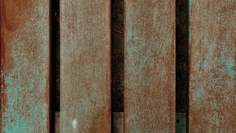 How to Know If You Need Water Damage Restoration Services