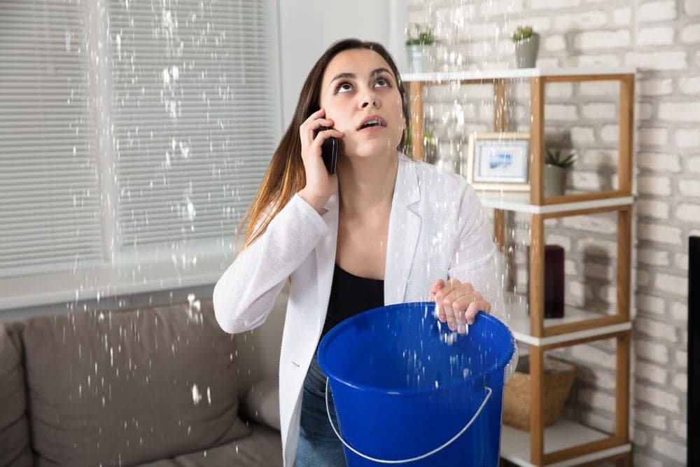 Knowing Some of the Most Common Signs of Water Damage