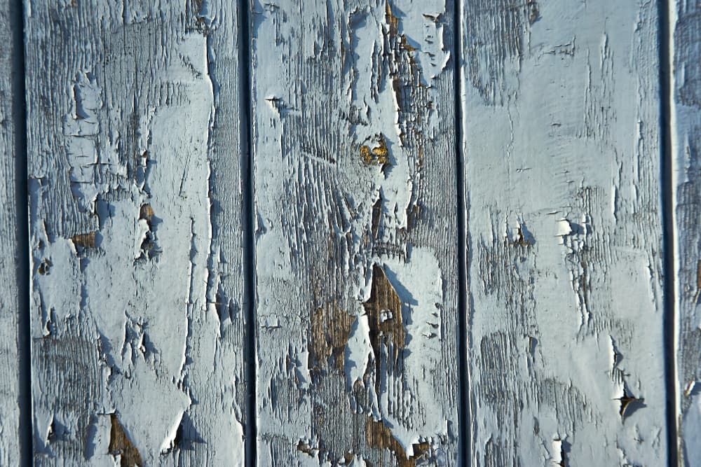 Leaky Problem: Telltale Signs of a Water Leak in Your Home