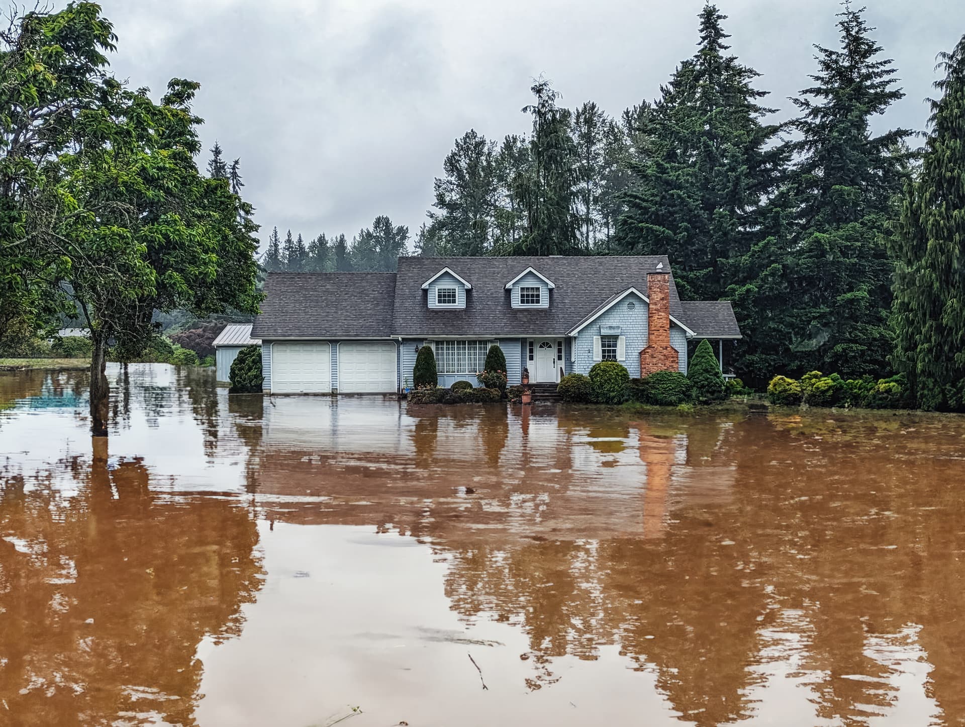 The Basics of Water Damage Restoration