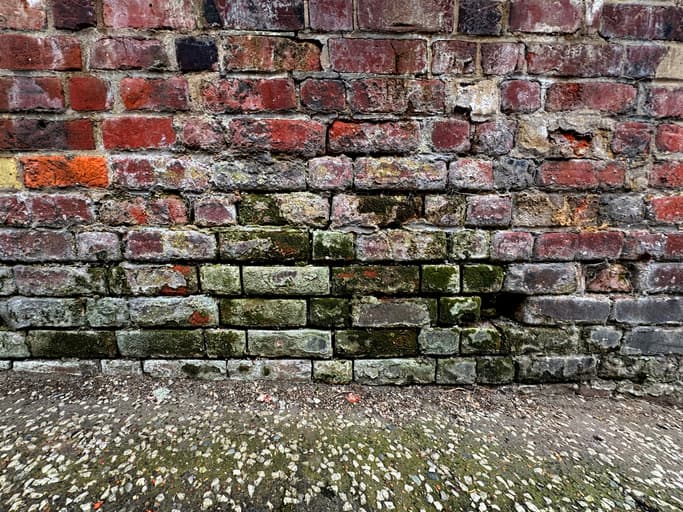 The Benefits of Professional Water Extraction Services