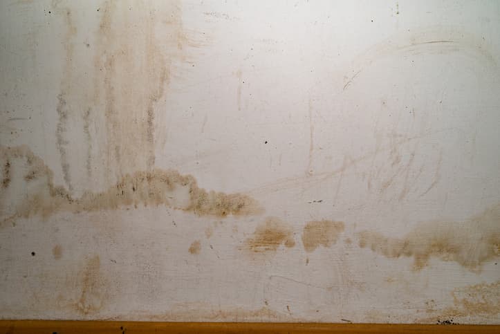 Understanding Drywall Water Damage: Things to Know