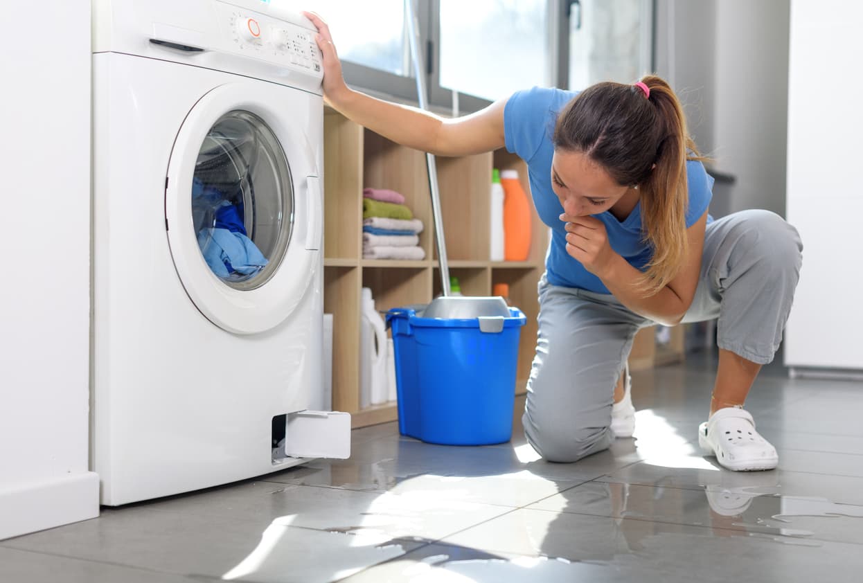What to Do After an Appliance Leak