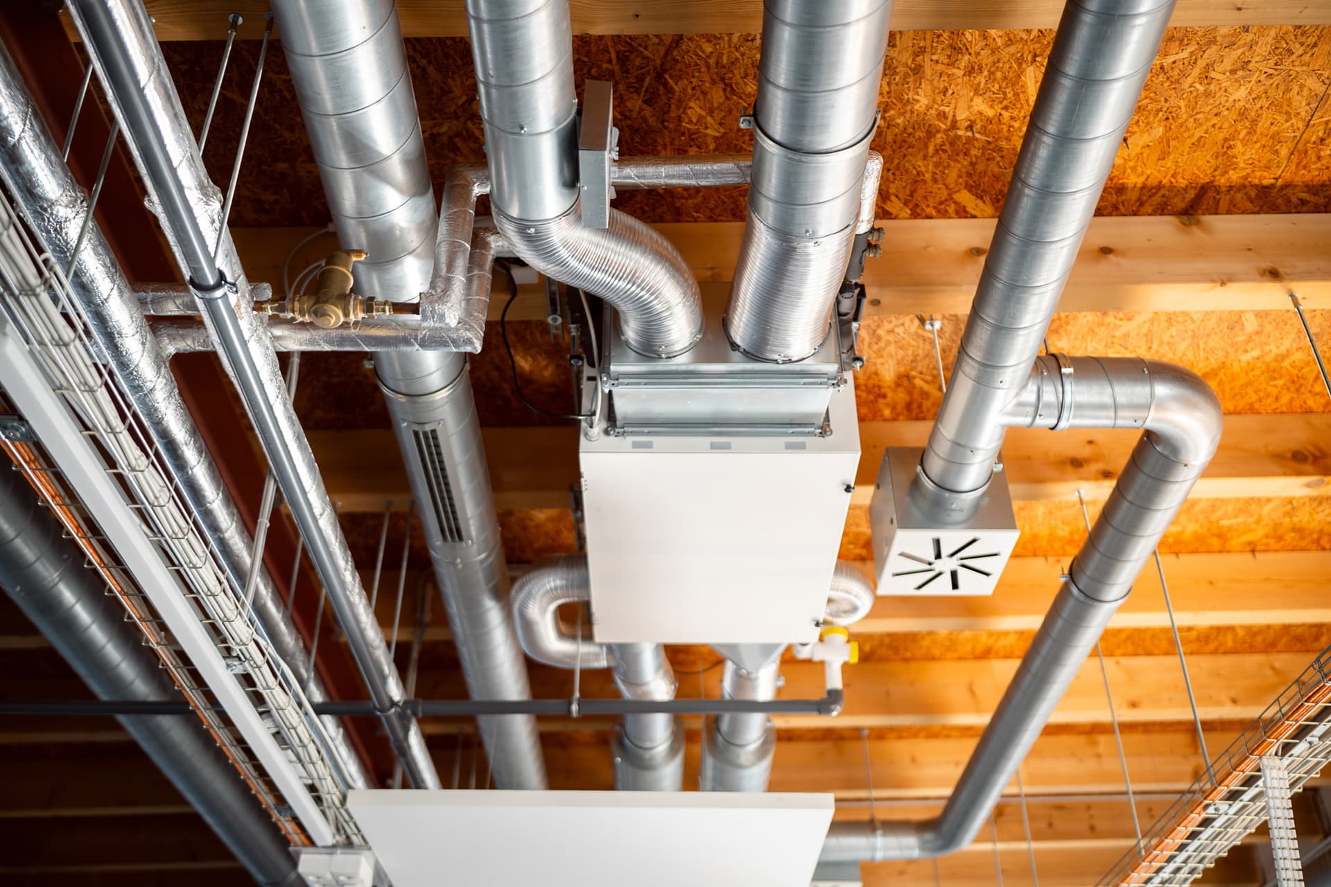 Why Companies Must Invest in Leak Detection Services