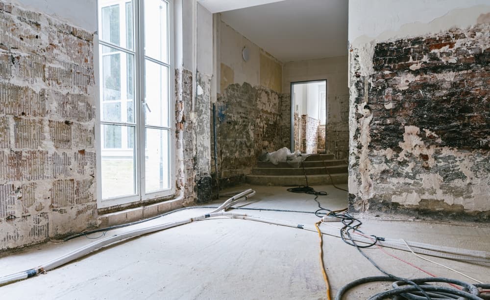 Why Mold Grows In Homes
