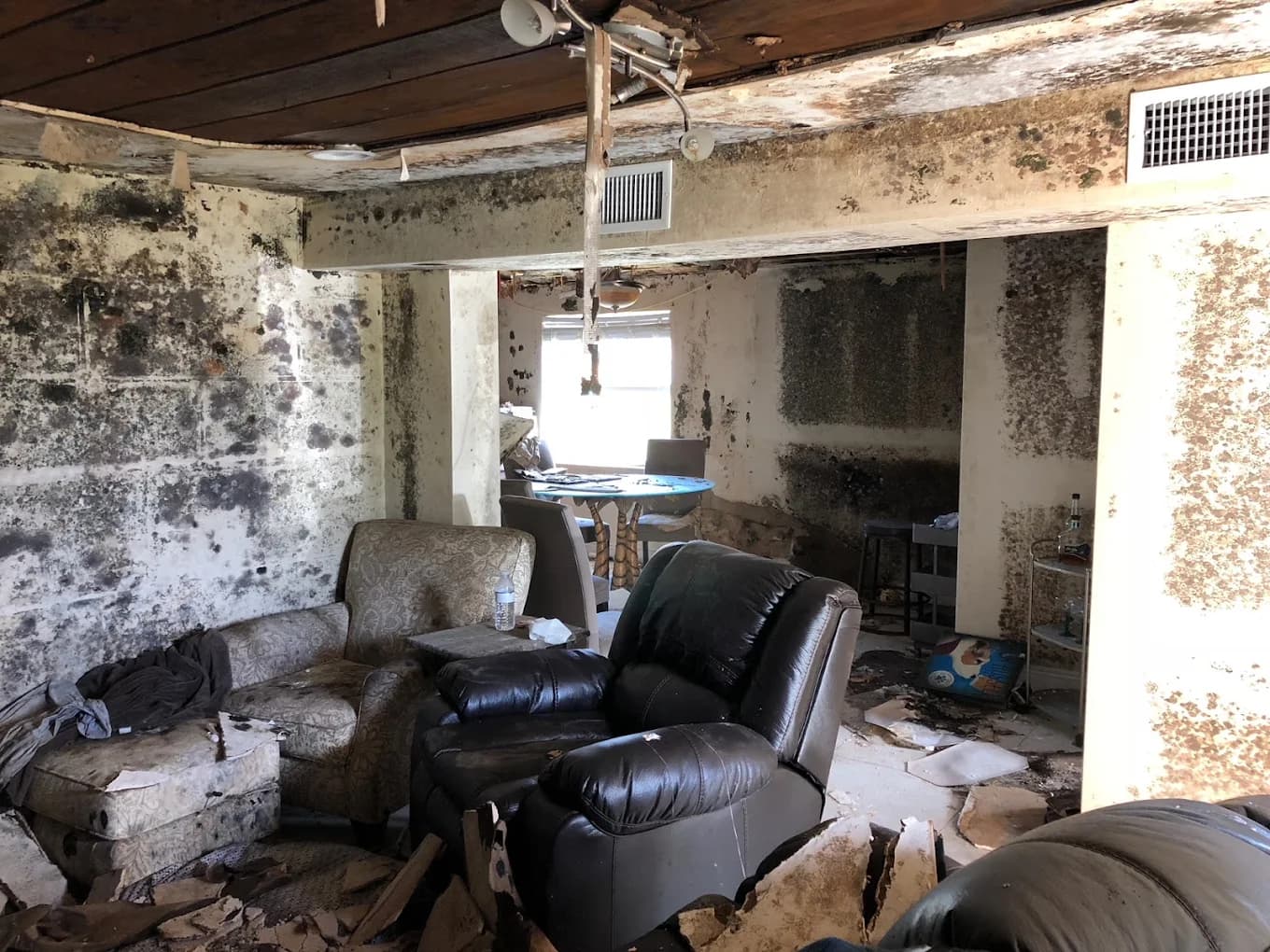 Mold remediation technician at work in Fort Myers, FL