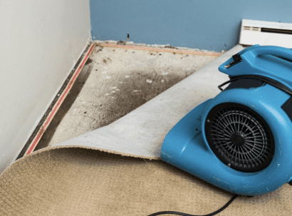 Mold remediation