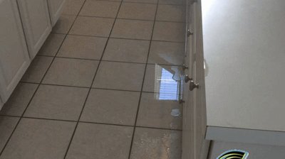 Naples Flooded Home Cleanup