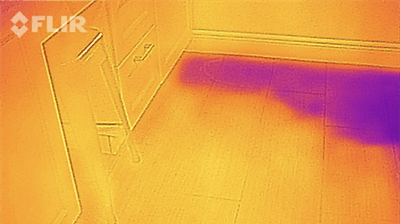 Bonita Springs Water Damage Photo