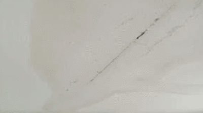 Fort Myers Water Damage Restoration Photo