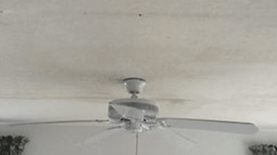 Fort Myers Water Damage Restoration Photo