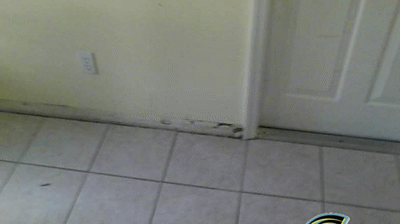 Naples Flooded Home Cleanup Photo