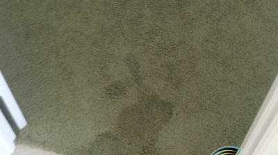 Naples Flooded Home Cleanup Photo