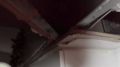 Naples Water Damage Restoration Photo