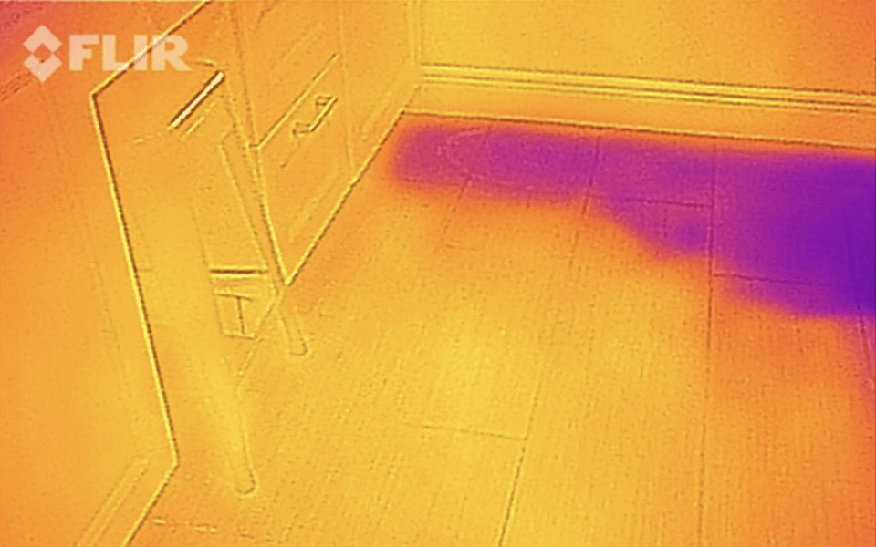 Bonita Springs Water Damage Photo