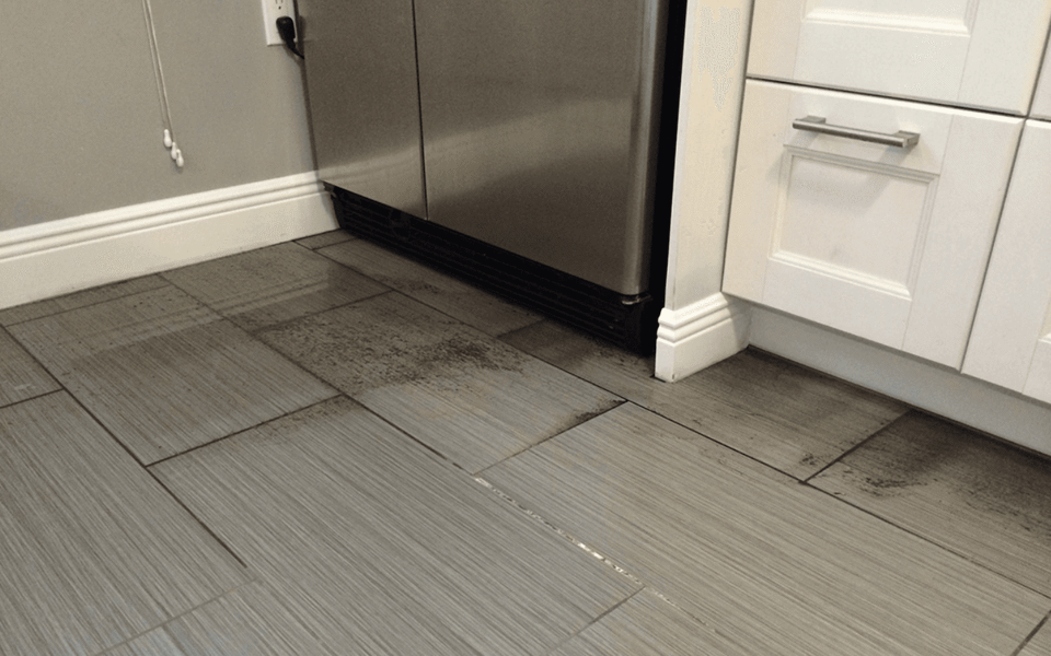 Bonita Springs Water Damage Photo