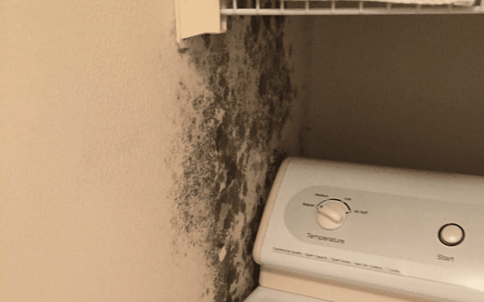 Cape Coral Flooded Home Cleanup Photo