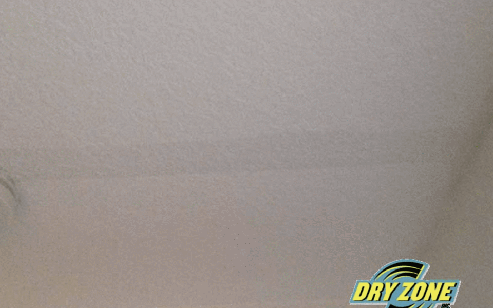 Fort Myers Flooded Home Cleanup Photo