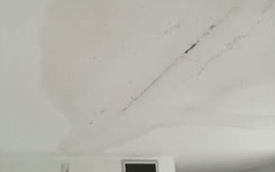 Fort Myers Water Damage Restoration Photo