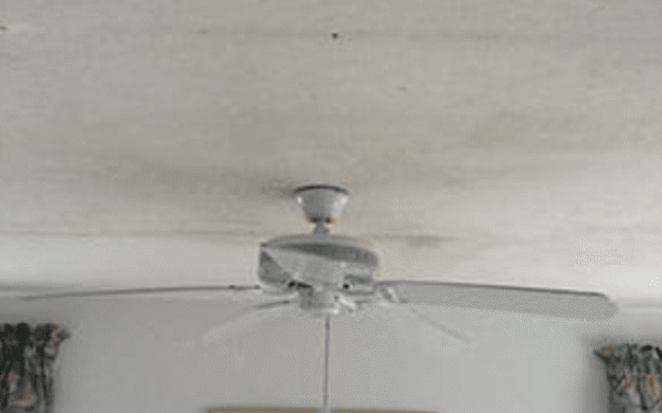 Fort Myers Water Damage Restoration Photo