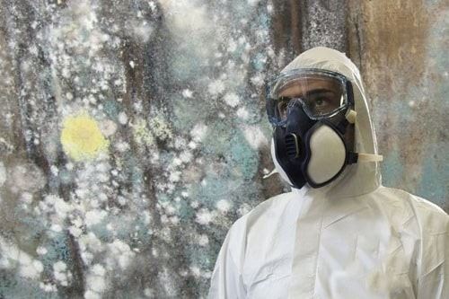 Person in Hazmat Suit Surrounded By Mold